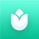 PlantIn logo
